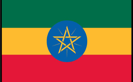 Ethiopia pardons Swedish journalists: official
