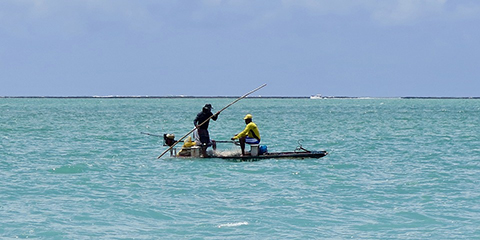 Pulitzer Center offers grants for reporting on ocean and fisheries  Pulitzer Center offers grants for reporting on ocean and fisheries
