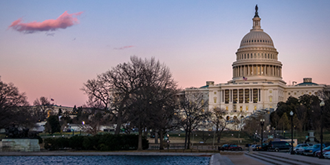Apply for the Reagan-Fascell Democracy Fellowship 2024