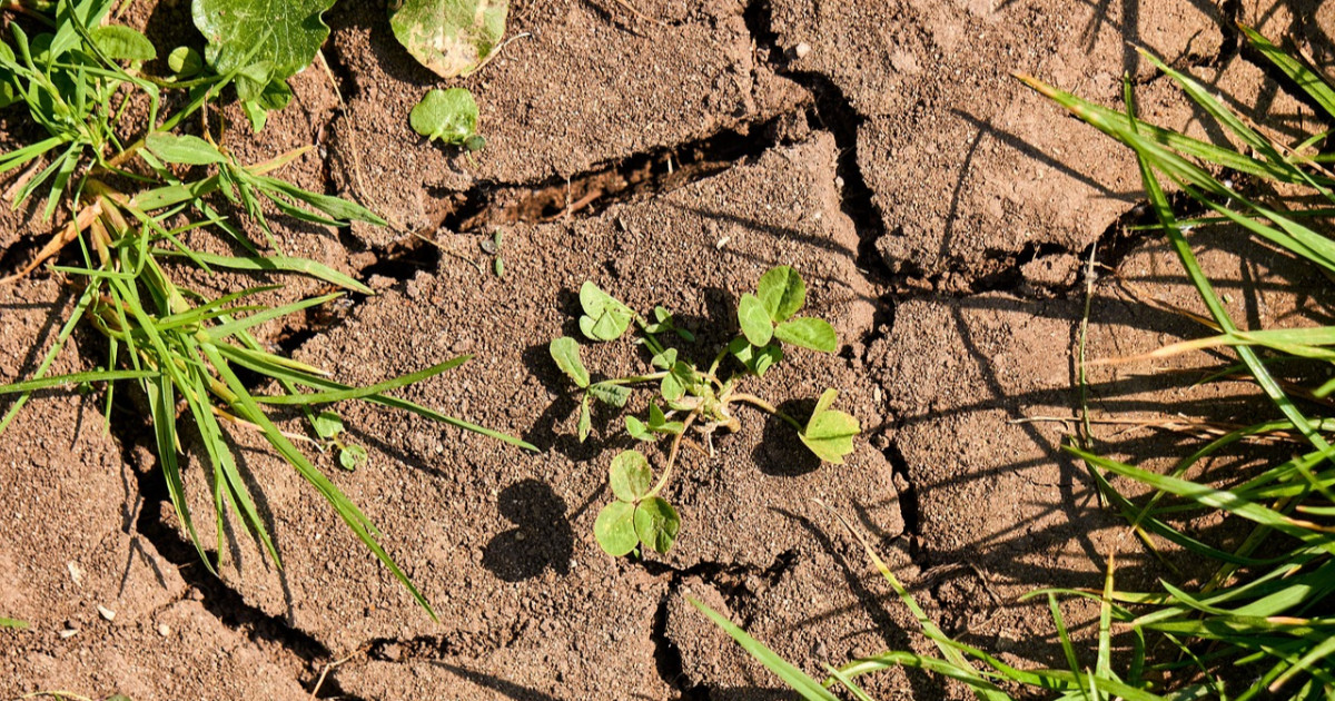 Covering Climate Now Journalism Awards open for entries