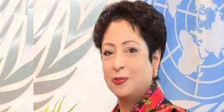 Maleeha Lodhi backs Mir Shakil-ur-Rehman, calls for his release