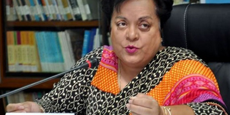 Minister Shireen Mazari says no cases registered against journalists
