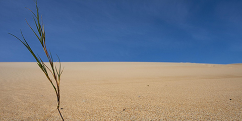 NYU Stern Fellowship for journalists to explore climate economics