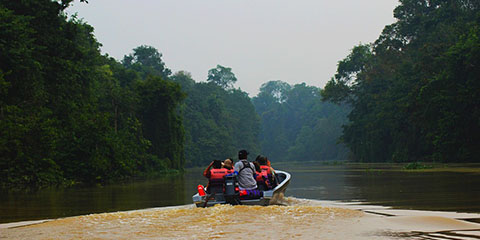 Rainforest grant offers support for global environmental reporting