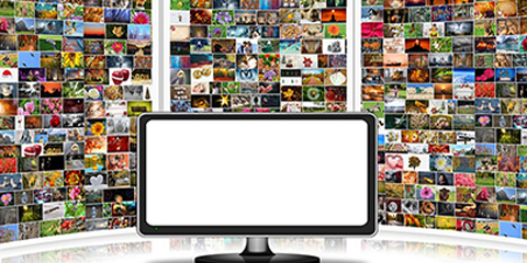 The hidden hand: The impact of social media algorithms on content visibility