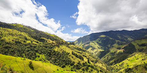 UN Biodiversity Conference: Media accreditation now open