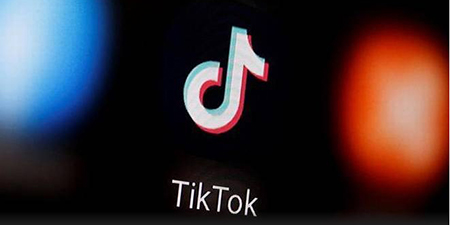 Court orders government to ban social media app TikTok